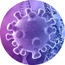 slrlabs.com