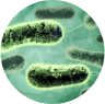 slrlabs.com